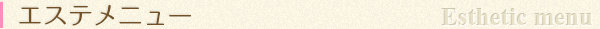 エステメニュー